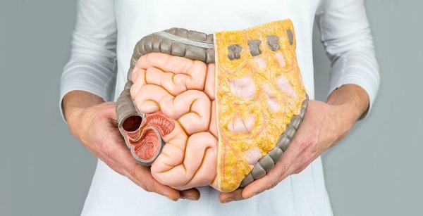 Как быстро и эффективно очистить кишечник от шлаков и токсинов